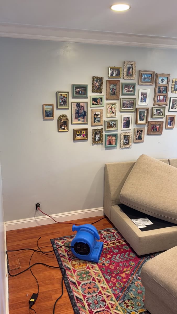Air mover drying an upholstered chair and rug after an Avelo visit